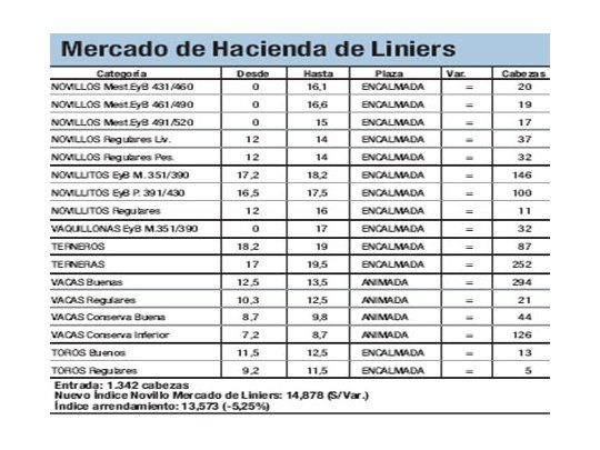 Sólo entraron 1.342 novillos a Liniers