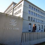 La vicecanciller, Valeria Csukasi, señaló que la credibilidad de la OMC depende de lograr una reforma efectiva en el comercio agrícola. La vicecanciller, Valeria Csukasi, señaló que la credibilidad de la OMC depende de lograr una reforma efectiva en el comercio agrícola.