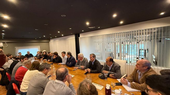 En medio de las crecientes versiones sobre posibles acuerdos con La Libertad Avanza, el flamante presidente del nuevo Comité de Contingencia de la UCR, Miguel Fernández, fue categórico: “Ningún dirigente radical habló con nadie de LLA.