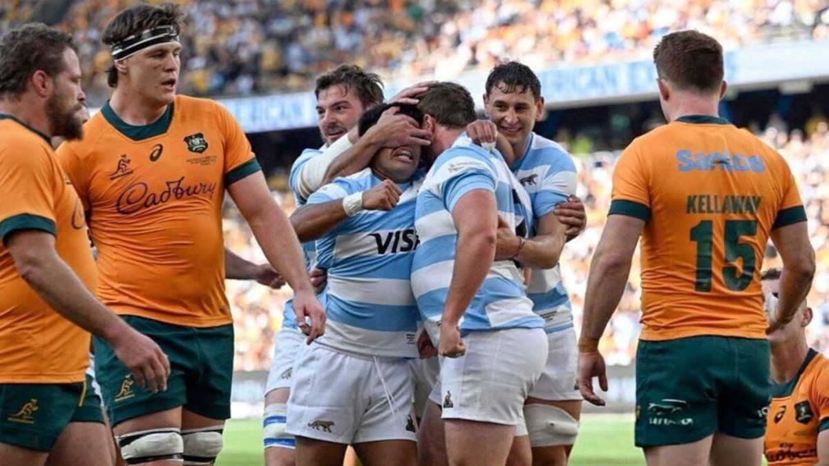 The Pumas beat Australia: This is how the Rugby Championship table was