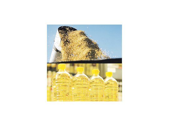 Las empresas chinas comprarán unas 250.000 toneladas de aceite de soja argentino esta semana, tras la reanudación del comercio entre ambos países.