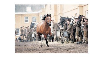 Pocas películas de Spielberg tienen imágenes tan tenebrosas y un desenlace tan luminoso como «Caballo de guerra», una obra mucho más compleja, profunda y emotiva de lo que puede parecer a primera vista.