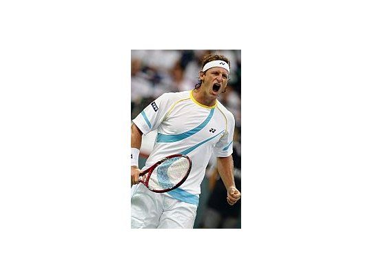 Nalbandián jugará el ATP de Buenos Aires.