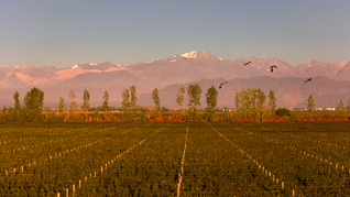 ámbito.com | Captura de Pantalla 2025-11-19 a la(s) 13.20.42