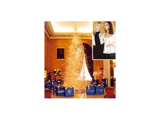 El Árbol de los Deseos acompañado por Karina Rabolini, quien apadrina la iniciativa solidaria, junto a Mónica Parisier, presidenta de la Fundación Make-A-Wish.