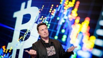 Un token que lleva el nombre del perro de Elon Musk subió 2.000%.
