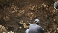 La excavación, ubicada en el distrito de Natá, revela prácticas funerarias y jerarquías sociales de las culturas que habitaron el istmo entre los siglos VIII y XI.