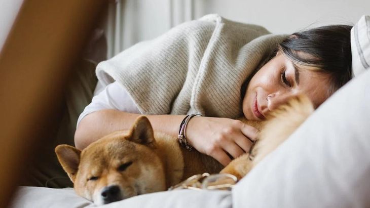 Compartir la cama con tu mascota: cuándo conviene y cómo evitar problemas de salud
