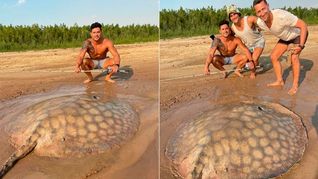 Una raya en el río Paraná.&nbsp;