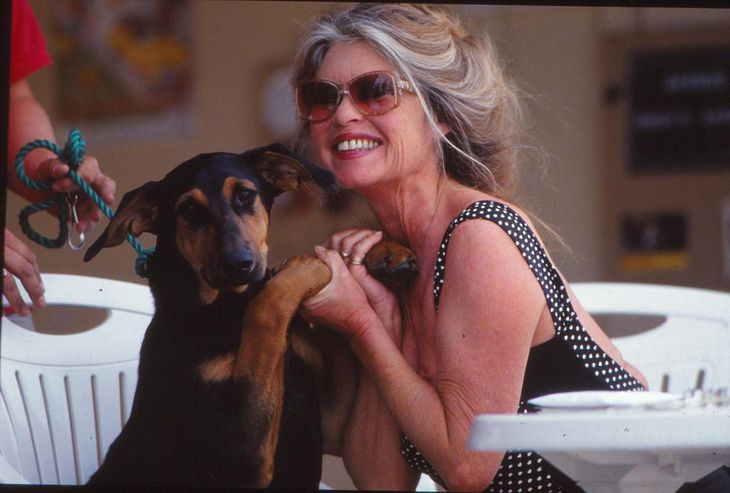 Tras su retiro en 1973, BB radicalizó una postura política de derecha y se concentró en la lucha por el derecho de los animales Tras su retiro en 1973, BB radicalizó una postura política de derecha y se concentró en la lucha por el derecho de los animales