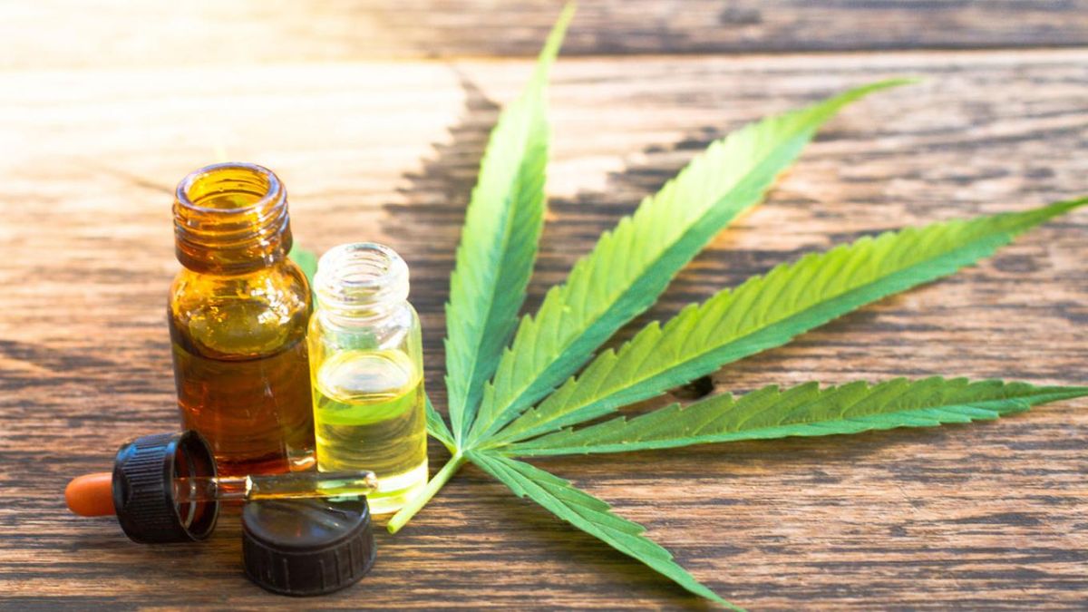 Crisis in the medical cannabis industry: 116 companies closed