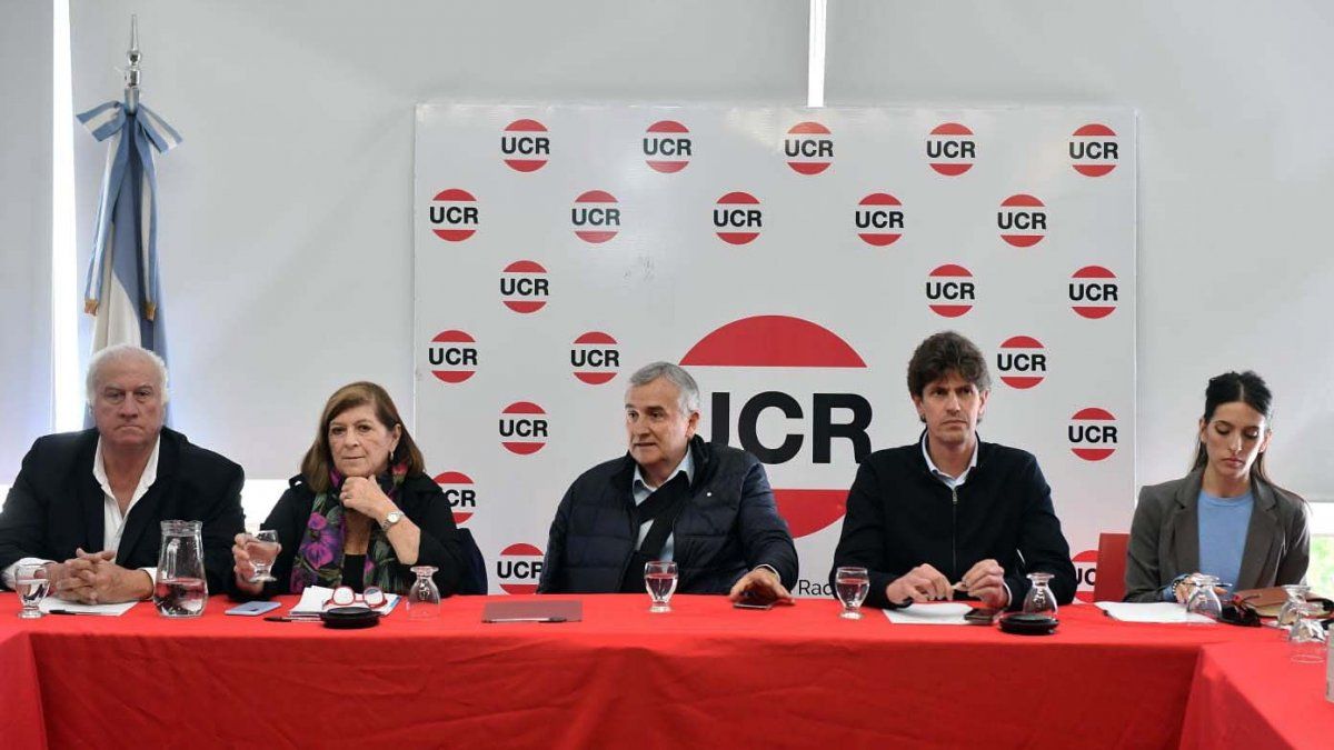 Ratificaron su decisión: la UCR no apoyará a ningún candidato en el balotaje