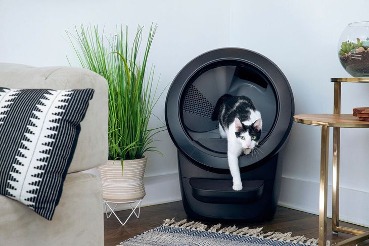 A minimalist design for an automatic feline hygiene solution. A minimalist design for an automatic feline hygiene solution.