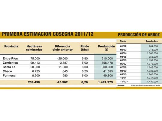 El arroz volverá a caer en 2012/13