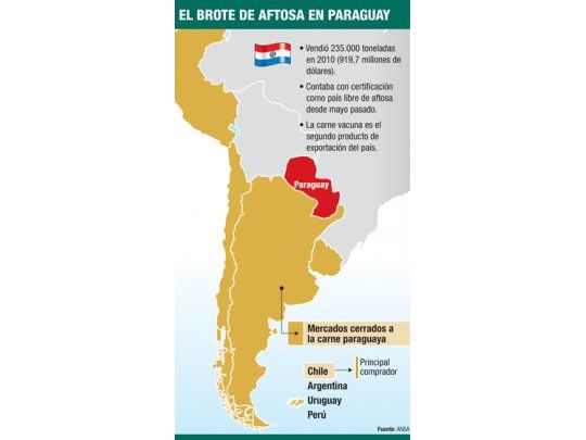 Paraguay: comienza sacrificio de animales