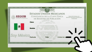 Noticia sobre la CURP. Noticia sobre la CURP.