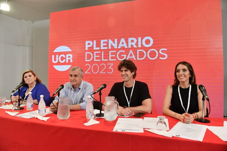 La elección se dio en el marco de un plenario de delegados del partido. 
