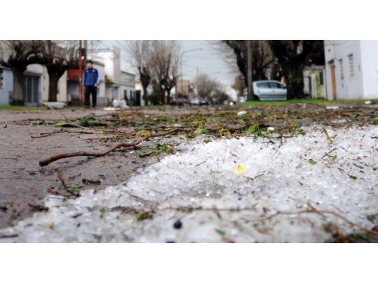 Fuerte temporal causó destrozos y caída de árboles en La Plata