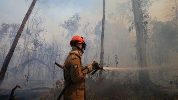 AMAZONIA. Los incendios en la selva de Brasil colocaron a las políticas ambientales en el centro de la discusión entre potencias.