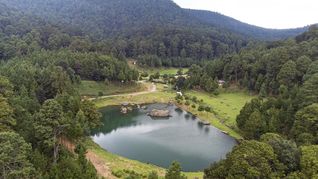 Refugio de neblina y madera: las cabañas de Edomex que curan el estrés de mitad de año Refugio de neblina y madera: las cabañas de Edomex que curan el estrés de mitad de año