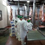 Las exportaciones de carne romperán su récord anual este año. Las exportaciones de carne romperán su récord anual este año.