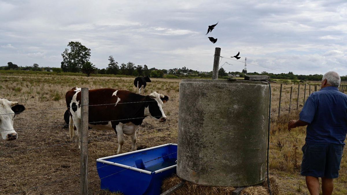 The BROU will give loans of up to  million to farmer producers