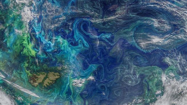 La NASA publicó una foto que muestra a las Malvinas frente a la costa de Argentina