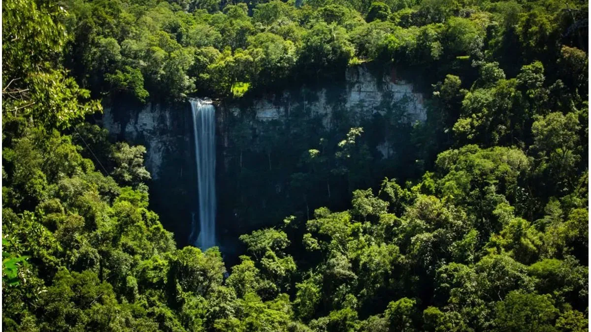 The hidden waterfall of Misiones that is near Iguazú: it measures 64 meters and impresses with its beauty