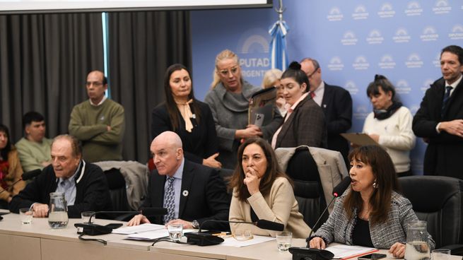 La oposición logró alzarse con el dictamen de mayoría. 