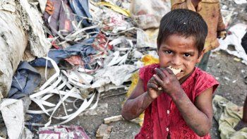 La FAOestima que el impacto de la pandemia sobre la actividad económica aumentará elhambre, la inseguridad alimentaria y la malnutrición.