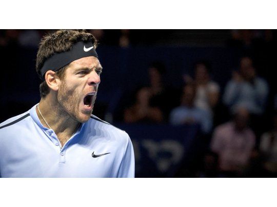 Del Potro estalló contra los fanáticos de Federer.
