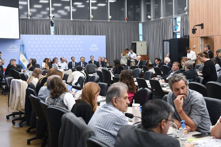 Cuarto debate del Presupuesto 2026 en Diputados.