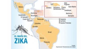 Zika: por brote, OMS declara emergencia sanitaria mundial