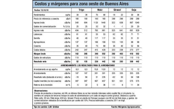 Avanza la siembra