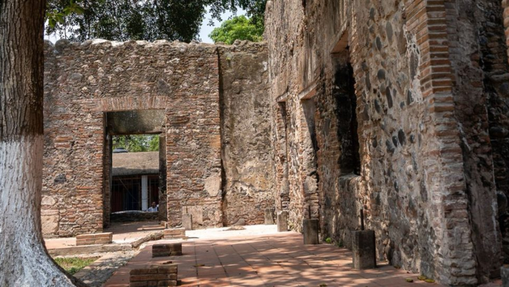 Las imponentes raíces de los árboles locales cubren las ruinas de la Casa de Hernán Cortés en Veracruz, creando un escenario histórico ideal para la fotografía. Las imponentes raíces de los árboles locales cubren las ruinas de la Casa de Hernán Cortés en Veracruz, creando un escenario histórico ideal para la fotografía.