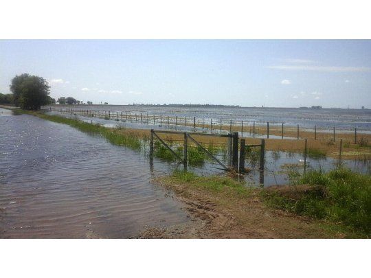 El ministro de Agroindustria bonaerense, Leonardo Sarquís, sobrevoló la zona y dijo que se declarará la emergencia.