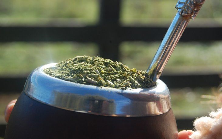 Según un estudio, la yerba mate previene el desarrollo del Parkinson