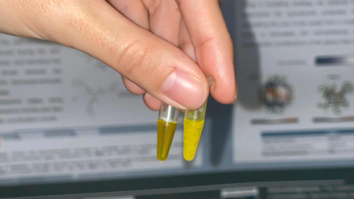 Una innovación científica busca sumar una herramienta simple y rápida para reducir riesgos en salidas nocturnas y encuentros sociales masivos.