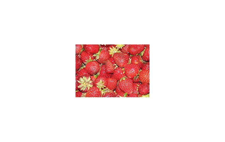Crecen las exportaciones de frutillas y arándanos