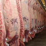 Con un cupo holgado de 324.000 toneladas, Uruguay tiene el camino libre para cubrir el vacío que dejará Brasil en el mercado chino a partir de julio. Con un cupo holgado de 324.000 toneladas, Uruguay tiene el camino libre para cubrir el vacío que dejará Brasil en el mercado chino a partir de julio.