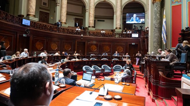 El Senado aprobó la creación de la comisión investigadora.&nbsp;