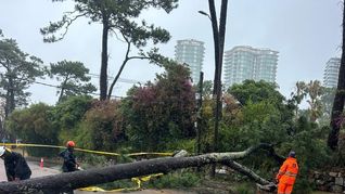 El ciclón extratropical se hace sentir y pone en pausa la temporada