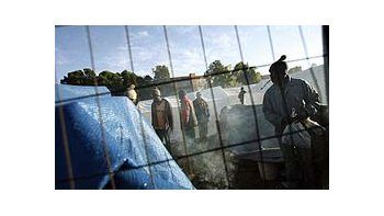 Sudáfrica: ya ascienden a 50 los muertos y a más de 35 mil los desplazados por la violencia xenófoba