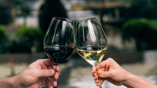 La Ruta del Vino en Buenos Aires. La Ruta del Vino en Buenos Aires.