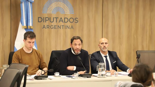 Juan Marino y Maximiliano Ferraro, autoridades de la comisión investigadora $LIBRA.