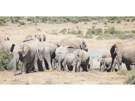 Sudáfrica: una aventura por la ruta jardín