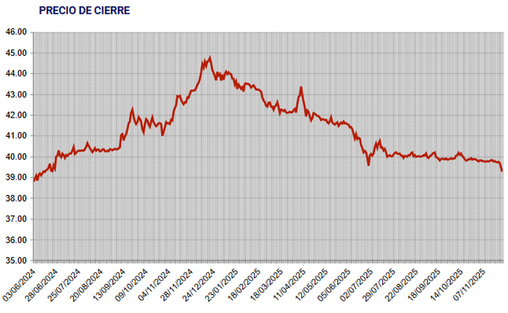 El d&oacute;lar subi&oacute; en 2024 hasta los 44 pesos, para luego retroceder hasta los niveles actuales, seg&uacute;n datos de Bevsa.