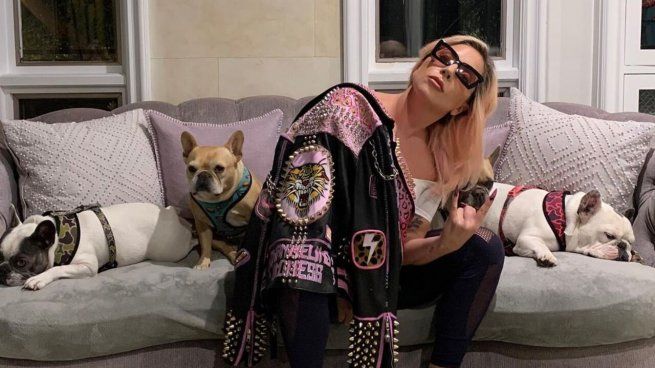 Lady Gaga con sus perros.