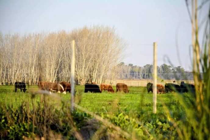 El destino ideal para un día de campo en familia. El destino ideal para un día de campo en familia.