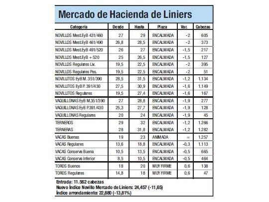 Índice Novillo cayó 11,7% en Liniers
